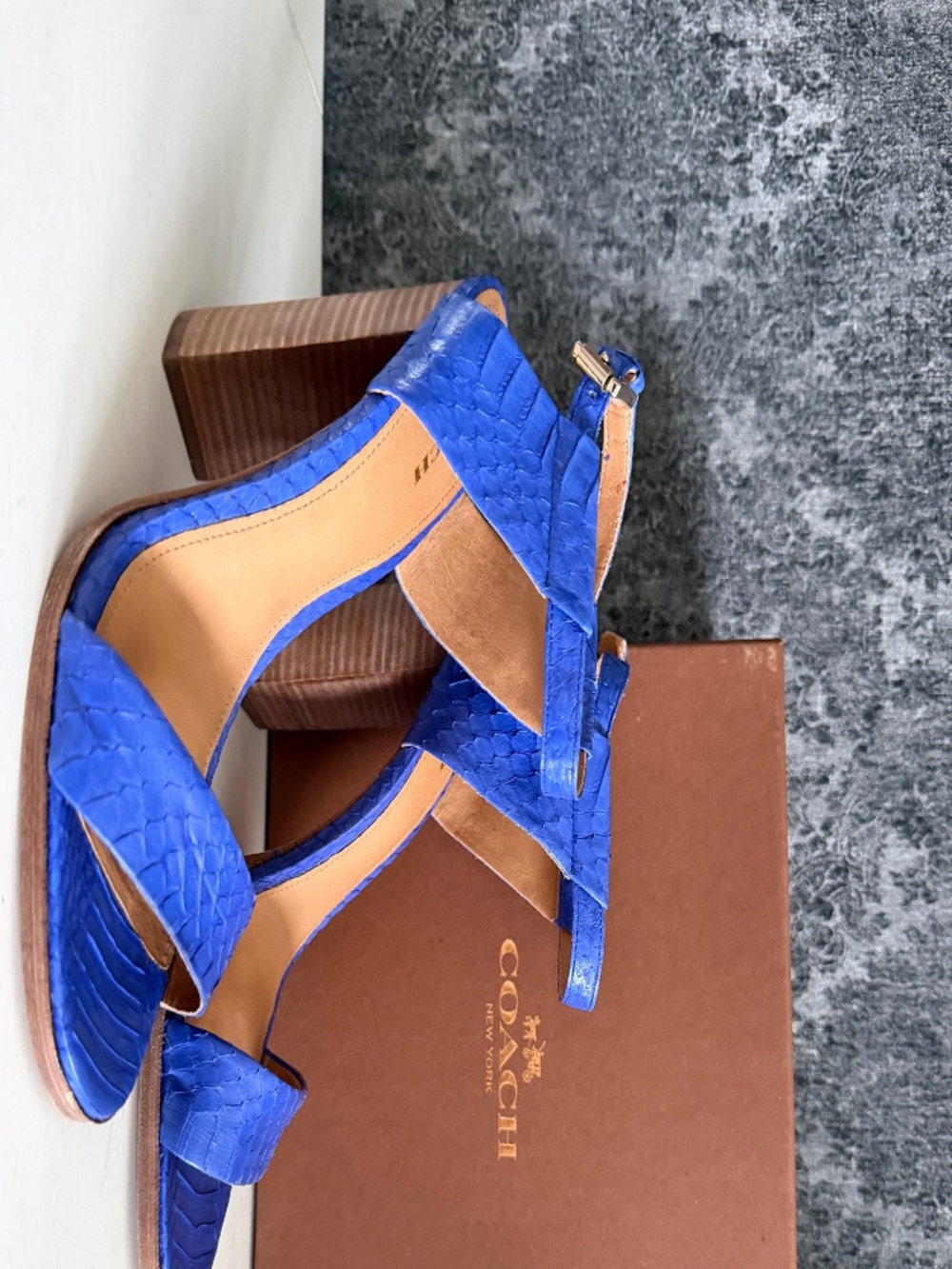 Coach Deep Marine Snake Sandal